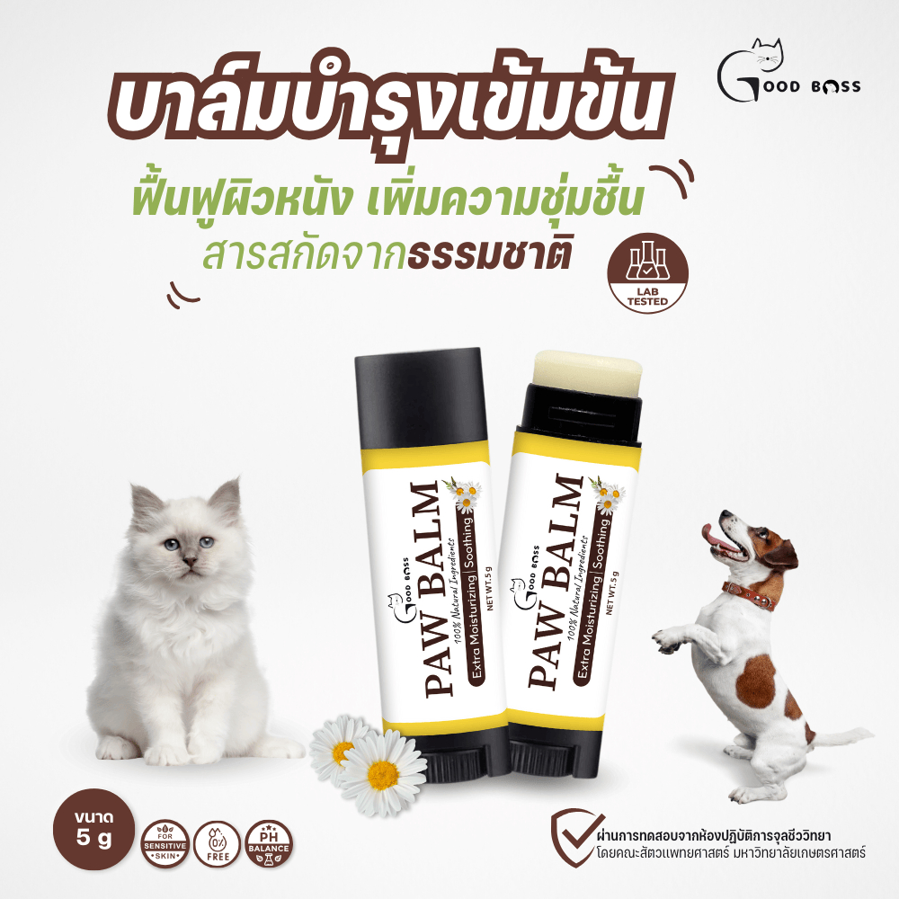 รูปภาพ 4