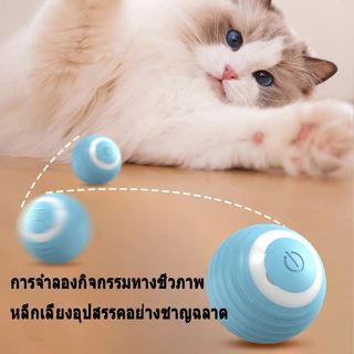 ของเล่นแมว ลูกบอลแมว การชาร์จ ปราดเปรื่อง ของใช้แมว cat toy แมวเล่นด้วยตัวเอง แมว ออกกำลังกาย