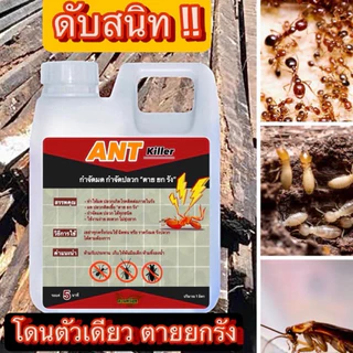 ผลิตภัณฑ์กำจัดมด ปลวก แมลงสาบ 1 ลิตรแถม 1ลิตร ใช้กับสวน ไร่ เทราดโคนต้นไม้