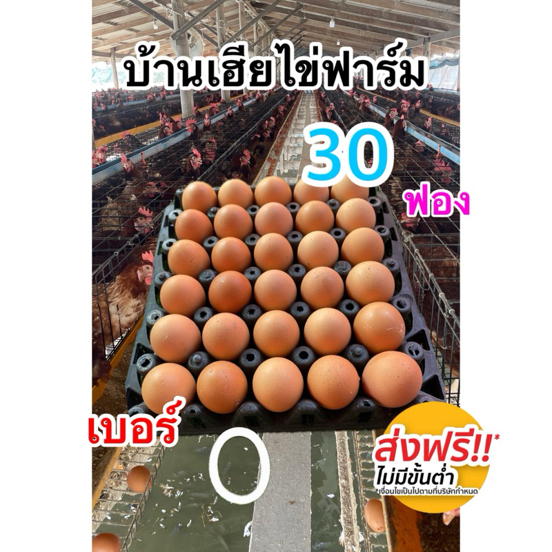 ไข่ไก่ 30ฟอง เบอร์0 จัดส่งฟรี