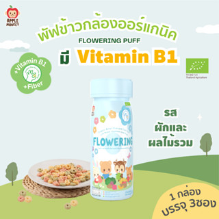Apple Monkey พัฟดอกไม้กระป๋อง ผักและผลไม้รวม 1กระป๋อง 45กรัม