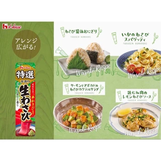 House Tokusen Nama Shoga/Wasabi/Garlic ขิงบดสดบด/วาซาบิสดบด/กระเทียมสดบด ญี่ปุ่น 42g