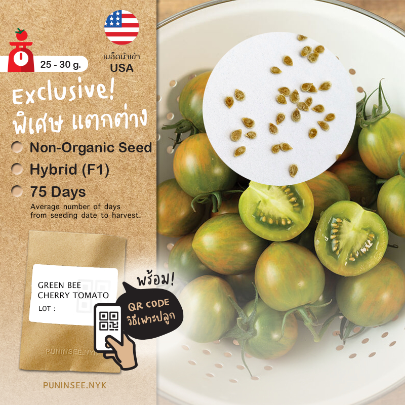 เมล็ดผักนำเข้า *มีจำกัด* มะเขือเทศเชอรี่ สีเขียว Green Bee Cherry Tomato (F1) กรอบแน่น รสสัมผัสพิเศษ