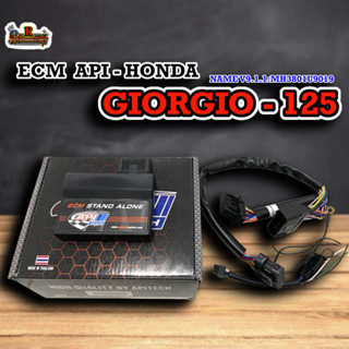 กล่องไฟ ECM. API HONDA GIORNO 125 V9.1 สำหรับรถรุ่น Giorno