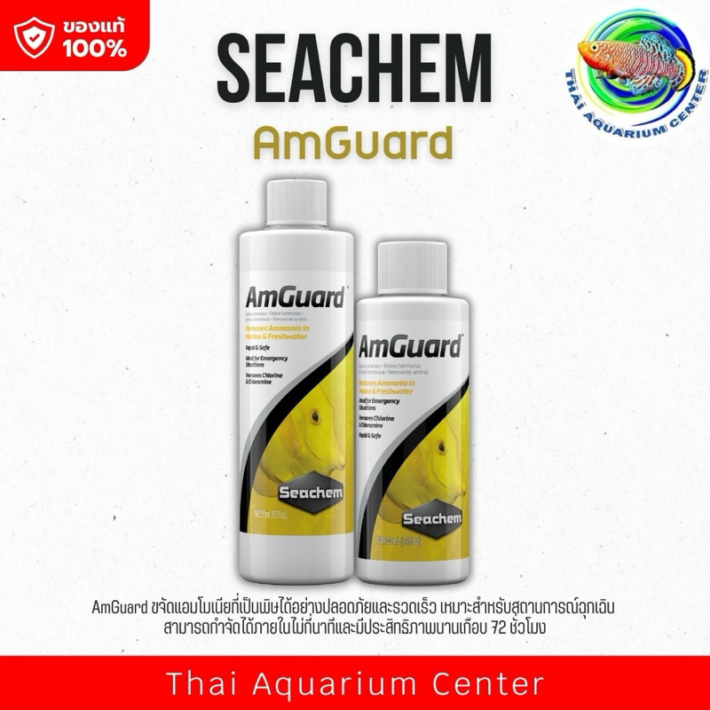 Seachem AmGuard ลดแอมโมเนีย ชนิดเข้มข้น ทำงานแบบเร่งด่วน เห็นผลภายใน 72 ชั่วโมง