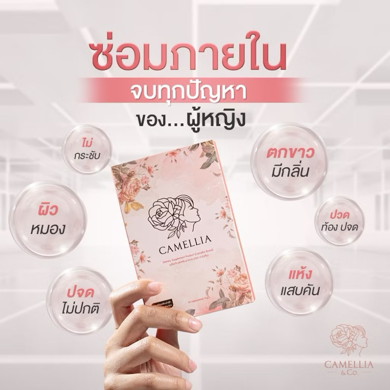 Camellia คามิเลีย อาหารเสริมสำหรับผู้หญิง ช่วยลดปัญหาตกขาว คัน มีกลิ่น ปวดประจำเดือน