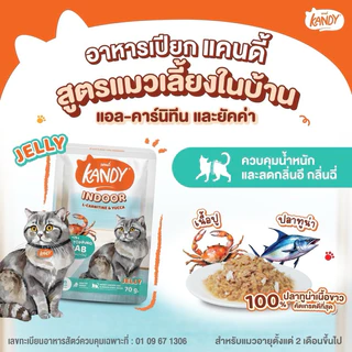 Kandy อาหารเปียก Holistic Grain Free ทูน่าเนื้อขาว ไม่เติมเกลือ สูตรดูแลสุขภาพ ยกโหล 70g*12ซอง