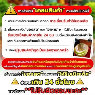 🚚ส่งฟรี/มีไลฟ์🚚🍏 ส้มโอขาวน้ำผึ้ง 🍏 ( 4 ลูก ) รสจัด กลมกล่อม หวานอมเปรี้ยว เนื้อแน่น ส่งตรงจากสวน cookingrun 📌