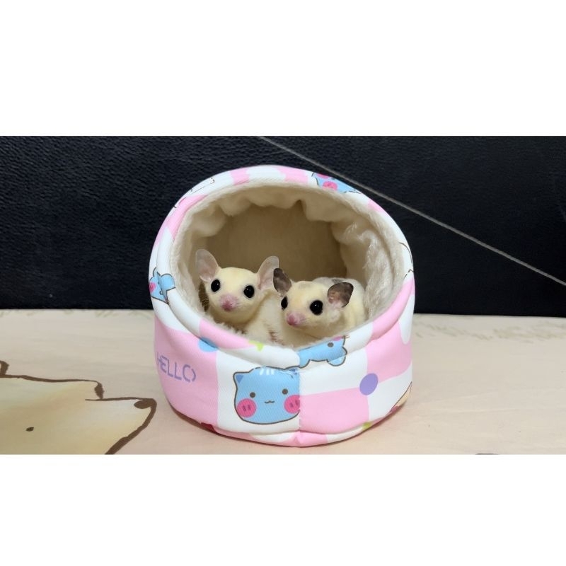บ้านชูการ์ โดมนอน อุโมงนอน บ้านกระรอก