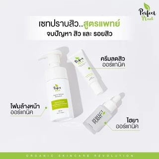 DR.NAME X Perfect Plant เซตดูแลสิว สิวอักเสบ สิวอุดตัน สิวติดสาร (ครีมสิว+โฟมล้างหน้า+ไฮยามอยซ์)