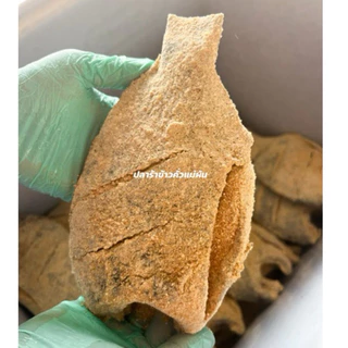 ปลาร้าปลานิล (สูตรข้าวคั่ว )เป็นปลาข้าวคั่วสูตรไม่เค็มมาก ปลาร้าข้าวคั่วแม่ผัน ไม่มีสารกันบูด สูตรดังจากประจันตคาม