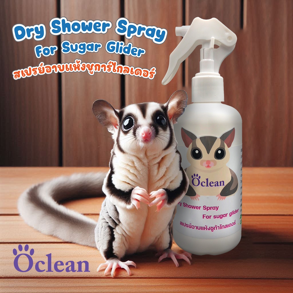 รูปภาพ 4