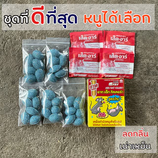 ยาเบื่อหนู ตายแห้ง ชุดที่ดีที่สุดจากการใช้งานจริง วางไว้เฉยๆ สำหรับหนูไม่เกิน 3 - 6 ตัว สำเร็จรูป