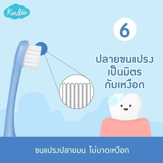 Kindee คินดี้ แปรงสีฟัน สำหรับเด็ก เหมาะสำหรับลูกน้อยอายุ 1 ขวบ ขึ้นไป