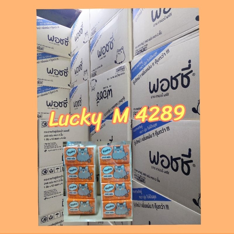 ทิชชู่พอชชี่ กระดาษทิชชู่240 แผ่น มี 48 ห่อ ราคา ยกลัง Lucky M 4289