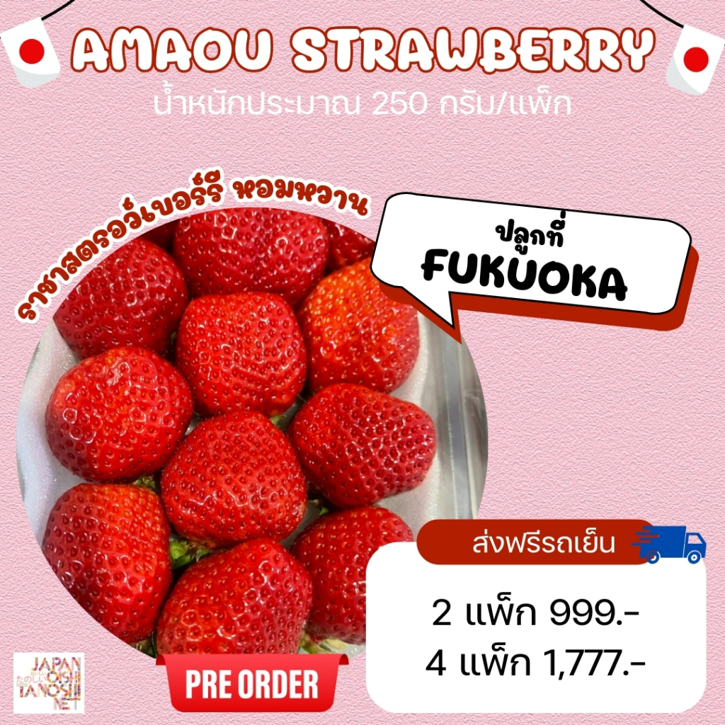 พรีออเดอร์ (รับสินค้าวันที่ 21 ก.พ. 68) Amaou Strawberry สตรอว์เบอร์รีอะมาโอะ สตรอว์เบอร์รีญี่ปุ่น