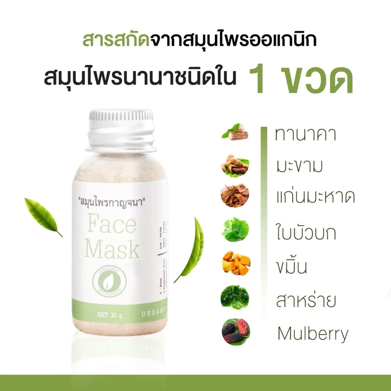 (พร้อมส่ง✅พาร์ทเนอร์บริษัท) สมุนไพรกาญจนา สมุนไพรไทย มาร์กสมุนไพร มาส์กสมุนไพร thumbnail 4