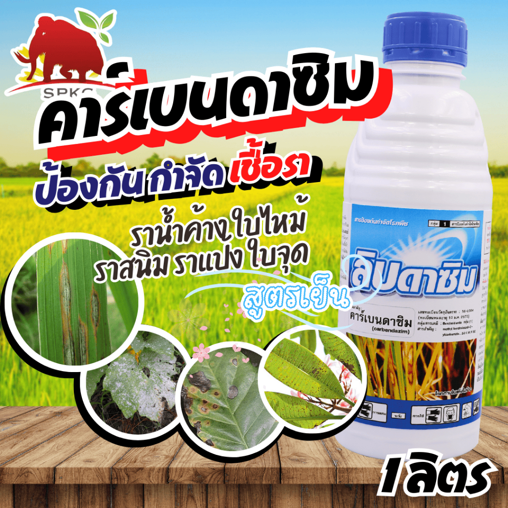 [1ลิตร] คาร์เบนดาซิม คาเบนดาซิม carbendazim 50% SC ป้องกันกำจัดโรคเช่น โรคใบไหม้โรคกาบใบแห้ง โรคใบจุดสีน้ำตาล โร