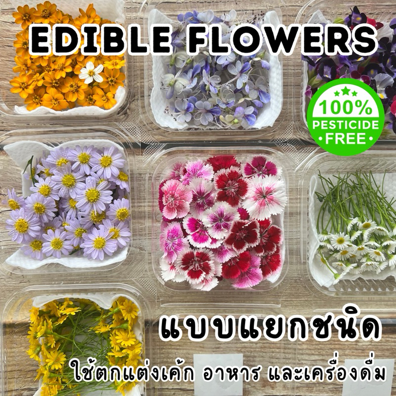 ดอกไม้กินได้สดปลอดสารแบบแยกชนิดพร้อมใช้ Edible Flower