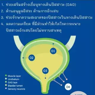 Methovet เมทโทเวท อาหารเสริมลดการเกิด-สลายนิ่ว Struvite ในแมว และสุนัข บรรจุ 100 เม็ด
