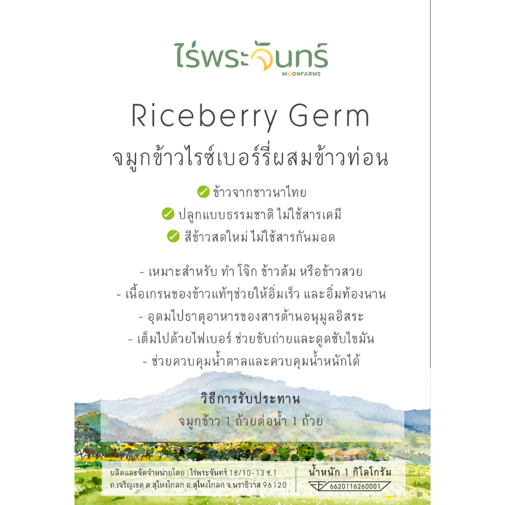 รูปภาพ 8