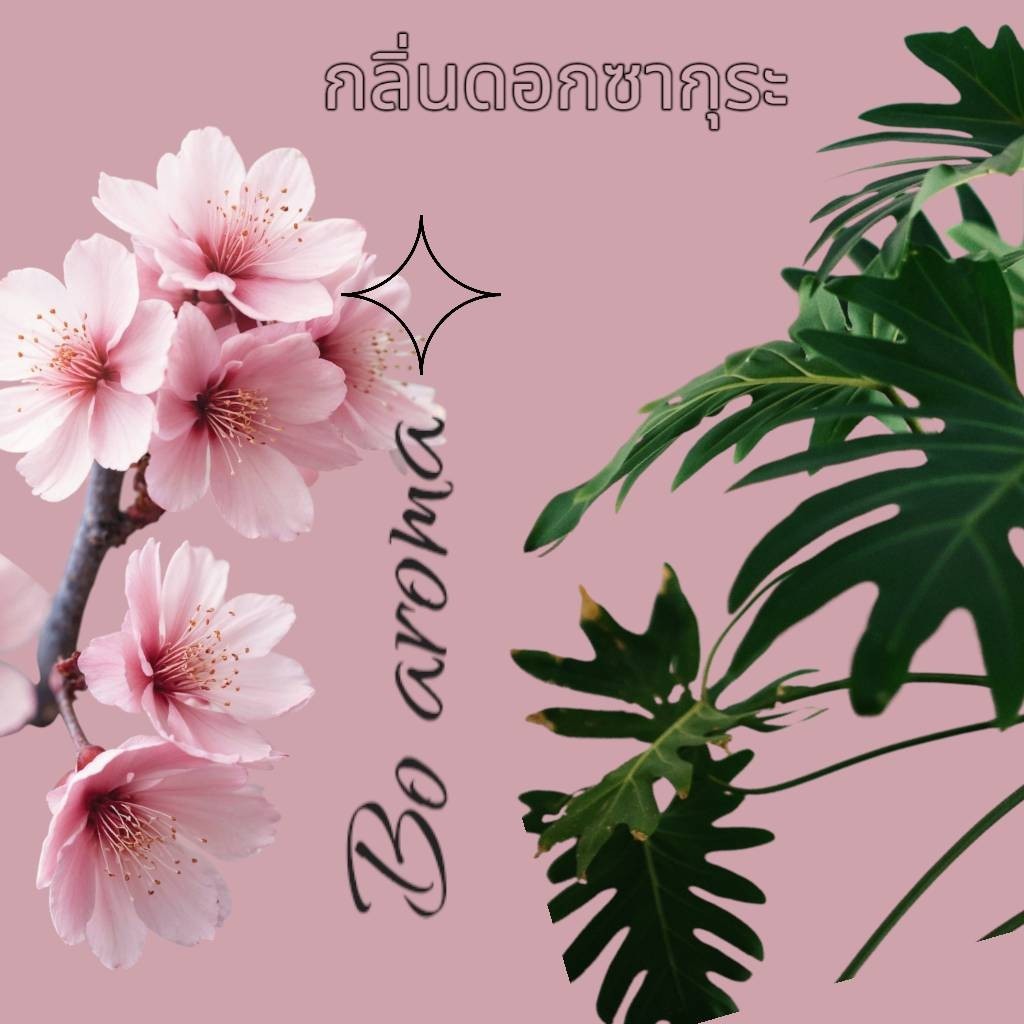 เกลือหอมดับกลิ่น  เกลือหอมปรับอากาศขนาด 50 และ 100กรัม ใช้ในห้องนอน ห้องน้ำ ตู้เสื้อผ้า - รูปที่ 4