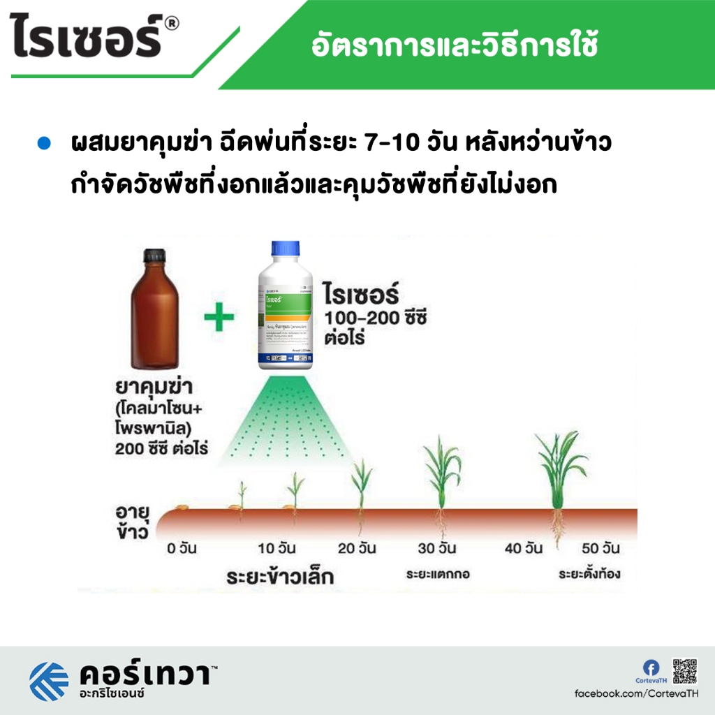 ไรเซอร์ (พีน็อกซูแรม) ใช้หลังวัชพืชงอก คุมฆ่าในนาข้าว กำจัดหญ้าปล้องหิน พุ่มพวง ข้าวนก ราคา ถูกที่สุด ดีลบีเคเค แกลเลอรีภาพที่ 5