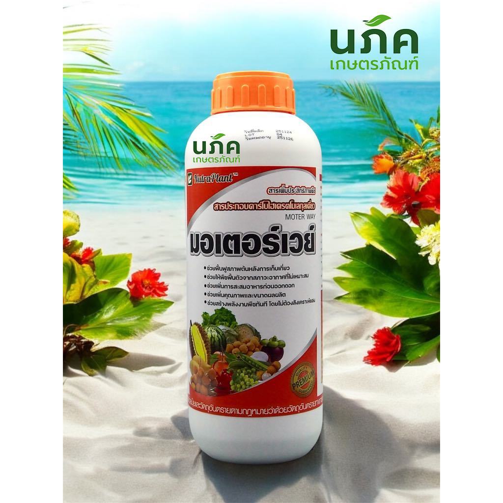 มอเตอร์เวย์ นูตร้า-แพลนท์: สะสมอาหาร เร่งสีหวาน ฟื้นฟูต้นไม้ผลรวดเร็ว