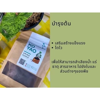 อมิโน ฮิวมิค เสริมพลังพืช สูตรเข้มข้น สำหรับ พืชทุกชนิด อัดแน่นด้วย ธาตุอาหาร ฟื้นฟูดิน เพิ่มจุลินทรีย์ดี