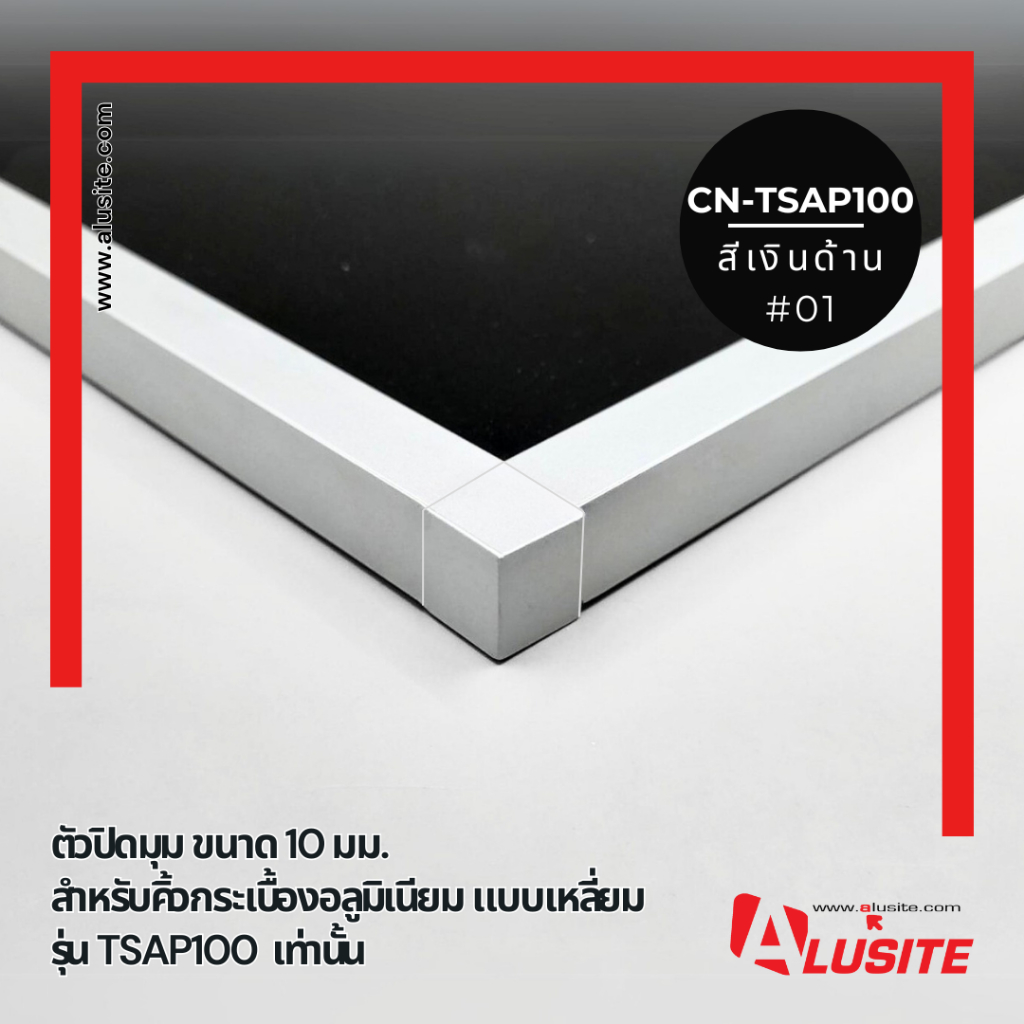 ตัวปิดมุมขนาด 10 มม. CN-TSAP100 (1 ชิ้น มี 2 แพ็ค)