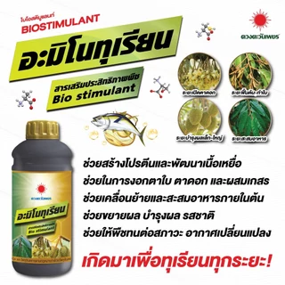 อะมิโนทุเรียน สำหรับทุเรียนโดยเฉพาะ เข้มข้นสูง แอลอะมิโนแท้ ขนาด 1 ลิตร ดวงตะวันเพชร