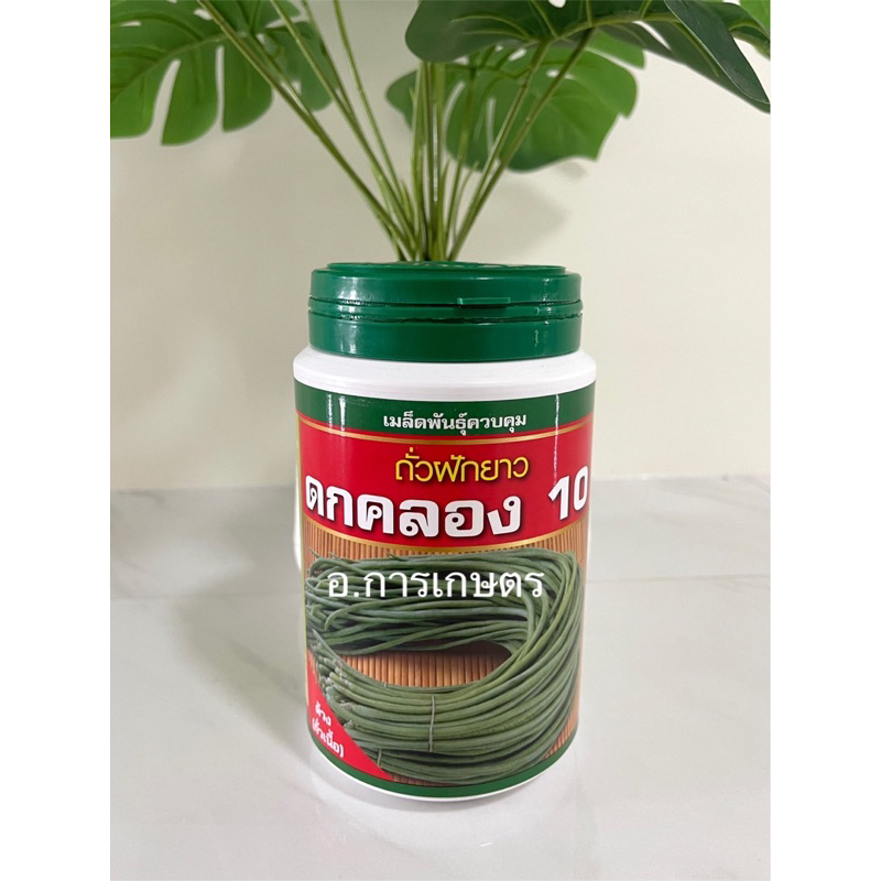 ใช้โค้ตพร้อมกันได้ ถั่วฝักยาว ดกคลอง 10 ขนาด 500กรัม ตราเสือดาว ถั่วเนื้อ  ยาว 55-60 ซม ดกคลอง10
