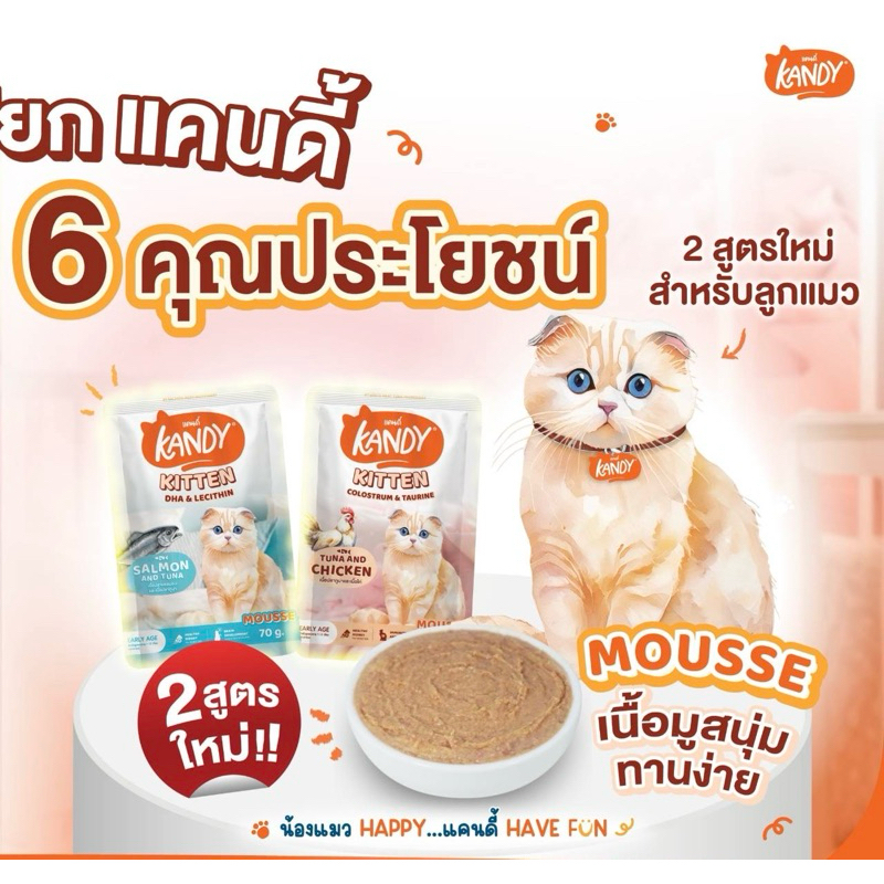 (12 ซอง) Kandy KITTEN อาหารเปียกแมว สำหรับลูกแมว เนื้อมูส อายุตั้งแต่ 1-12 เดือน Kandy (12 ซอง)