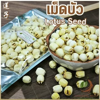 เม็ดบัว 50 100 250 กรัม แกะเปลือก เม็ดบัวจีน เมล็ดบัวแห้ง Lian Zi 莲子 Lotus Seed เหลียนจื่อ สมุนไพรจีน Semen Nelumbinis