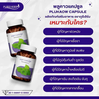 พลูคาวแคปซูล - ตราภูรีเฮิร์บ