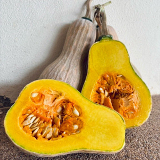 [5แถม1] เมล็ดฟักทองน้ำผึ้ง ✨ 8 เมล็ด