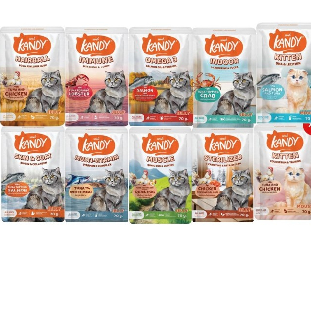 [ยกโหล 12ซอง] Kandy แคนดี้ อาหารเปียกแมว ไม่ใส่เกลือ ผลิตจากปลาเนื้อขาว ขนาด 70 กรัม*โปรดอ่านรายละเอียดก่อนสั่งซื้อ
