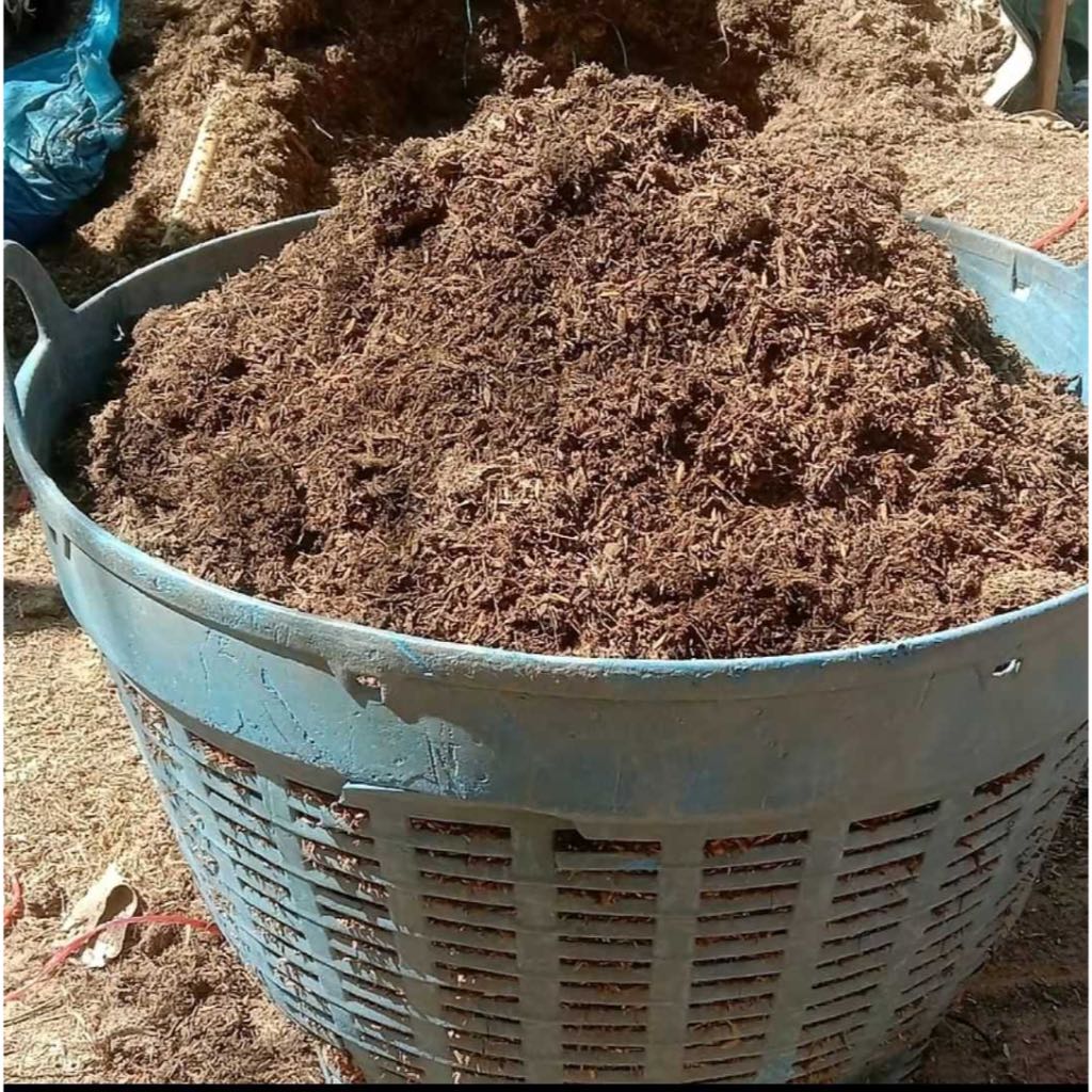 แกลบเก่าหมักมูลวัวและรำข้าว 900g แกลบอินทรีย์  หมักด้วยปุ๋ยคอก