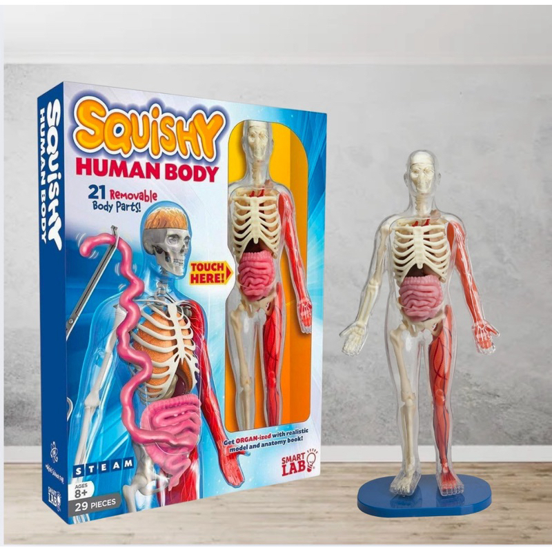 Smart Lab Toys Squishy Human Body Science Set for Children