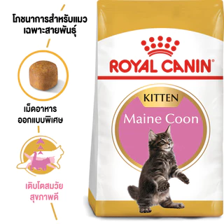 [กระสอบ] Royal Canin Maine Coon Kitten รอยัลคานิน อาหารลูกแมว พันธุ์ เมนคูน ลูกแมว อายุ 4-15 เดือน 10 kg