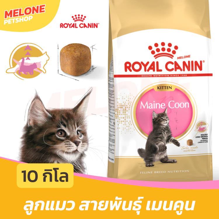 [กระสอบ] Royal Canin Maine Coon Kitten รอยัลคานิน อาหารลูกแมว พันธุ์ เมนคูน ลูกแมว อายุ 4-15 เดือน 10 kg