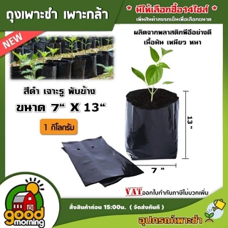 ถุงเพาะชำ สีดำ ขนาด 1Kg. *มีให้เลือกซื้อ14ไซส์* เนื้อมัน เหนียว หนา ถุงเพาะ ถุงชำ ผลไม้ ต้นไม้ บอนสี ผักซอง ผัก