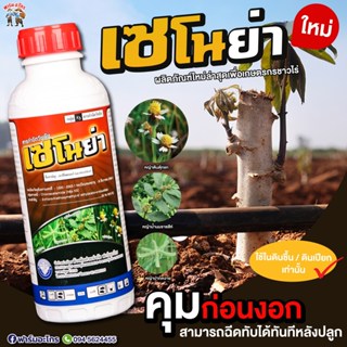 เซโนย่า คุมเมล็ดวัชพืชก่อนงอก ไร่มันสำปะหลัง ไร่อ้อย ข้าวโพด
