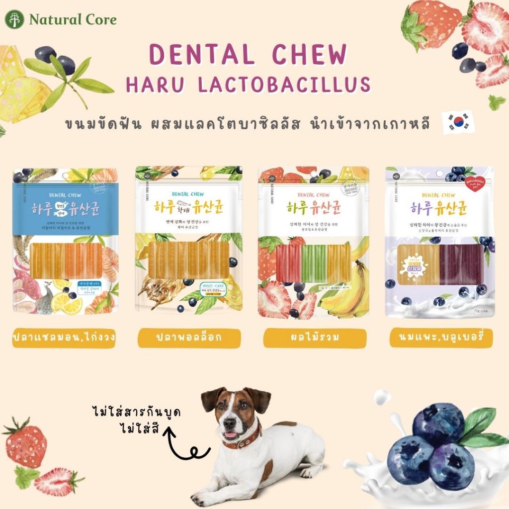 Natural Core Haru Lactobacillus ขนมขัดฟันสำหรับสุนัข 🐶 นำเข้าจากเกาหลี🇰🇷