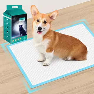 (2แพ็ค) Meowspace แผ่นรองฉี่ แผ่นรองซับสัตว์เลี้ยง Training pads มีกาว 4 มุม ซึมเร็ว ดูดซึมได้ดี