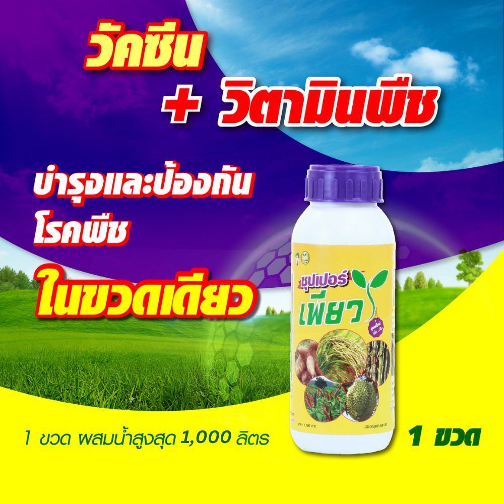 ซุปเปอร์เพียว วัคซีนพืช วิตามินพืช เสริมความแข็งแรง ใบเขียว โตไว ไม่มีโรคแมลงศัตรูพืช เพิ่มผลผลิต