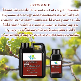 ไซโตไคนิน กระตุ้นตาดอก แตกตาพืช เปิดตาดอก เร่งออกดอก เร่งการแตกกิ่ง เร่งยอด เร่งแตกตาข้าง