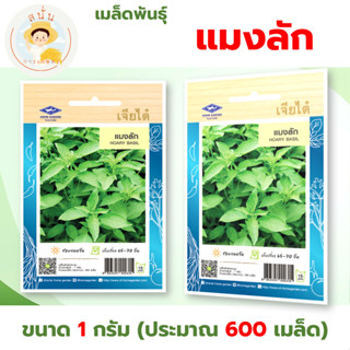 เมล็ดพันธุ์ แมงลัก (Hoary Basil) ผักซอง เจียไต๋ OP ขนาด 1 กร…
