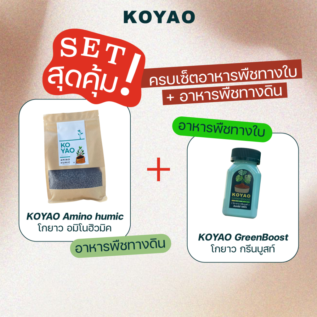 โกยาว อาหารพืช  คู่หูบำรุงพืช ดินดี ใบงาม เร่งดอก ปุ๋ยทางดิน ปุ๋ยทางใบ เขียวไว ติดดอกดี ขยายราก ช่วยบำรุงพืชครบวงจร