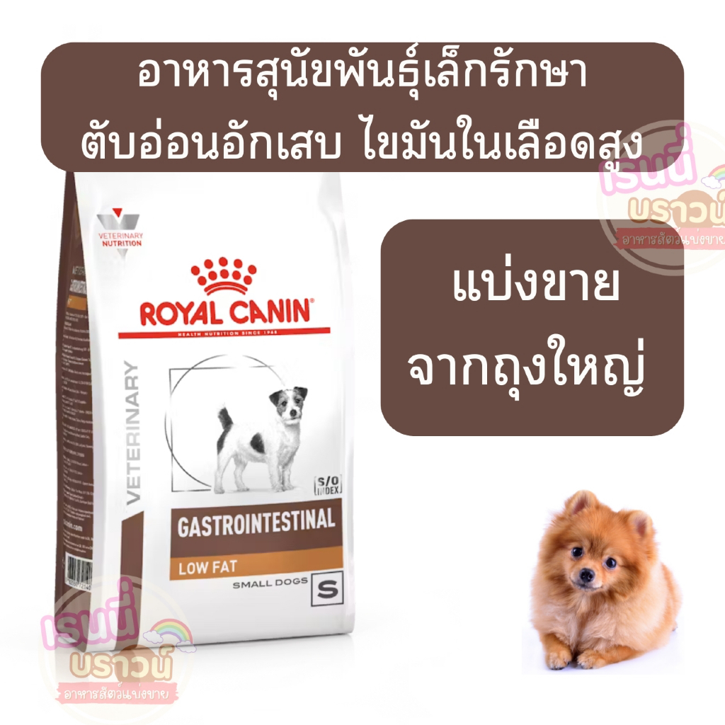 ส่งด่วนมาก+ผ่อนได้⚡️[[หมาเล็กตับอ่อน]]](แบ่งขาย)Royal Canin Gastro low fat SMALL dog อาหารสุนัขโรคตับอ่อนอักเสบเม็ดเล็ก
